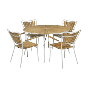 Marguerit havest 120 - hvid