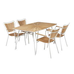 Marguerit havest L144 - hvid