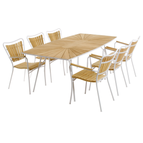 Marguerit havest L200 - hvid