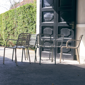 Ivy by Mathias Falkenstrøm